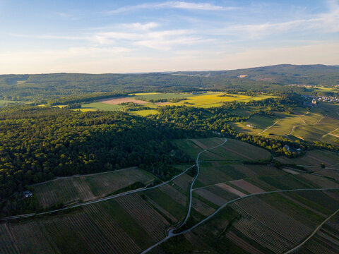 Luftbild von Drohne Weinberge bei Rüdesheim, Rheinhessen Deutschland