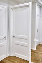 Classic closed white door and light switches on amazing clean mirrored wall in spacious decorated room in luxury apartment