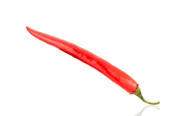 One hot red pepper , close-up, isolated on white.
