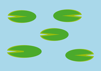 Fondo de charca o lago con plantas flotando. 