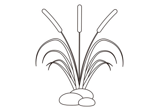 Icono de juncos de una charca con piedras. 