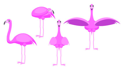 Set Abstract Collection Flat Cartoon Different Animal Flamingo Stand, Speeping, With Outstretched Wings Vector Design Style Elements Fauna Wildlife
