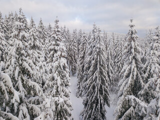 Luftaufnahme mit Drohe des Taunus im Winter bei Schnee, Hessen Deutschland