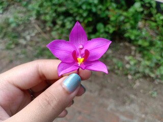 Beauty