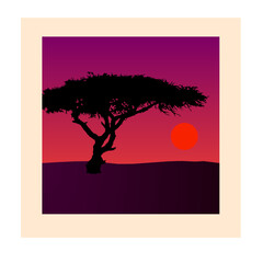 silhouette of a tree in the sunset, savanna landscape