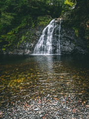 Ceunant Llennyrch National Nature Reserve