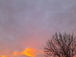 Fototapeta premium sunset in the sky