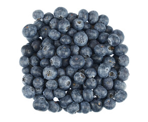 fresh picked blueberry isolated on white background