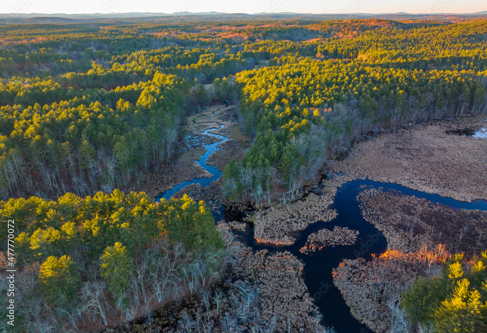 Canvas Prints aerial landscape view of forest and stream under sunlight