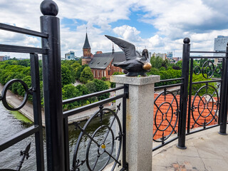 Kaliningrad, Russia, June 24, 2021. A picturesque observation deck on the embankment, a beautiful decorative fence