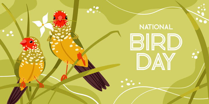 vector national bird day on green background. Flat style design. For social media, headers, website, poster, invitation. Star finch bird illustration