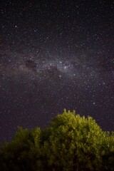 Fototapeta na wymiar Milky Way over the Kgalagadi