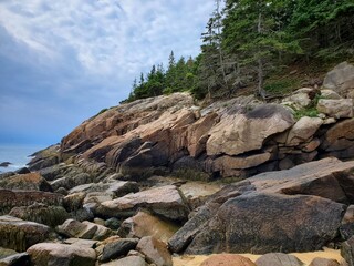Fototapeta na wymiar Coastline in Acadia National Park