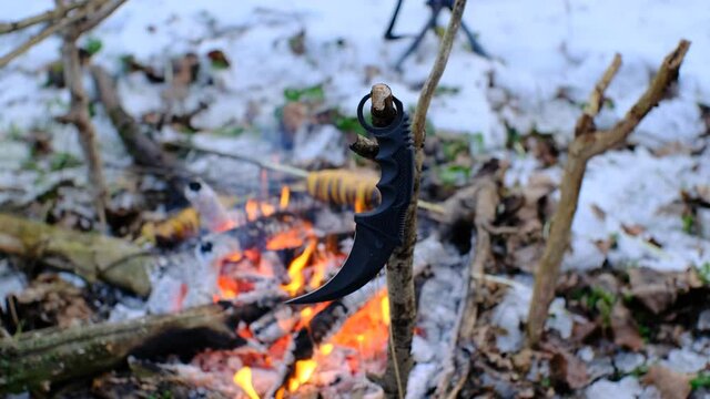 karambit knife on the branch in front of bonfire in the dark snowy forest