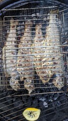grilled chicken on the grill