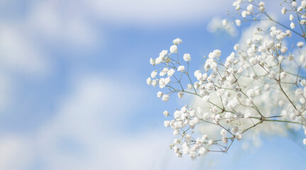 Flores nupcial boda matrimonio fondo sencillo fresco © Sofía Solveira
