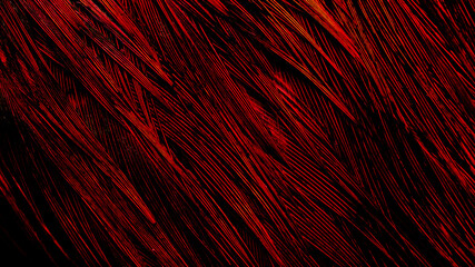 background with bird basant feathers