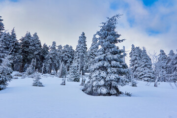 Schneebedeckte Landschaft im Winter im Harz