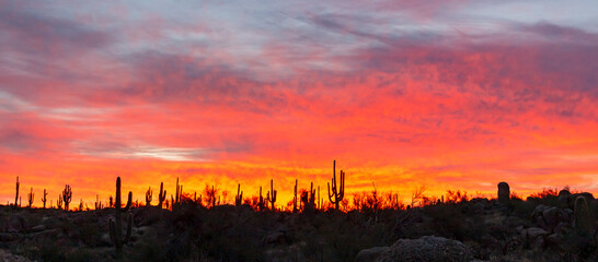 Obraz premium Wide Angle View Of Fiery Desert Sunrise In Scottsdale, Arizona