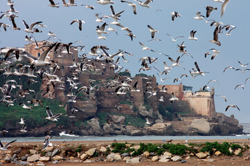 Oudayas Kasbah in Rabat the capital of Morocco