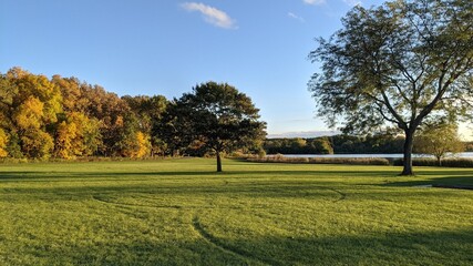 autumn in the park