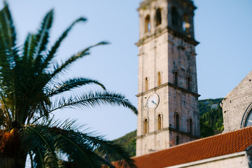 Fototapeta na wymiar Palm leaves in the background of the bell tower of the Church of St. Nicholas. Montenegro