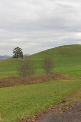 Obraz premium Hügellandschaft in Süddeutschland