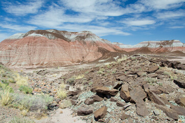 Petrified Forest National Park - The Teepees or Chinle Formation