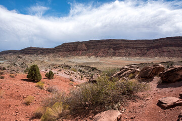 Fototapeta premium Hot day in the desert