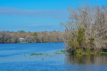 The view of Manatee Springs and Suwannee River. Manatee Springs State Park is in Chiefland, Florida