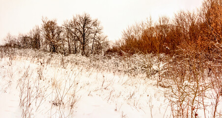 Cloudy winter december day Ukraine
