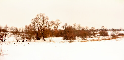 Cloudy winter december day Ukraine