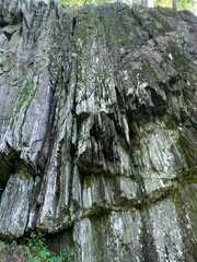 Tilted natural stone speckled with greenery