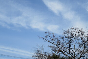 冬の空