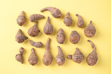 Organic taro on yellow background, Ugly vegetable concept, food trend