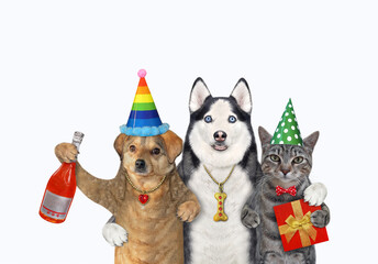 Two dogs and a gray cat are celebrating a birthday. White background. Isolated.