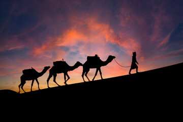 Fototapeta na wymiar Silhouette Of Camels Against The Sun Rising In The Sahara Desert In Morocco