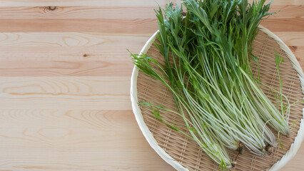 水菜”Mizuna green””Japanese brassica””potherb masterd”
