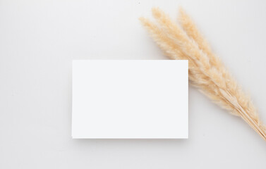 White invitation card mockup with a pampas grass on grey background, Minimal grey workplace...