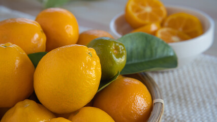 金柑・kumquat・cumquat