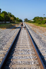 Obraz premium Female Walking Weimaraner Down Railroad Tracks