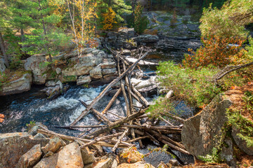 Fototapeta premium A log jam spans the stream above the cascacdes at High Falls in Algonquin Provincial Park, Ontario Canada