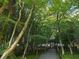 京都府 京都市 浄住寺