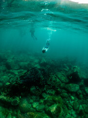 free dive, Coral, Phuket Sea, swarm of fish, underwater