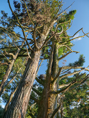 大阪府 高槻市 東海自然歩道