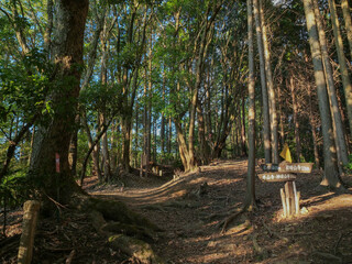 京都府･大阪府 ポンポン山