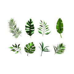 Illustration vector graphic of leaves fit for background and decoration