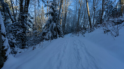 Cross-country ski trail at Burnaby Mountain Park, BC, in winter.