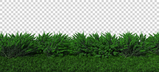 isolated isometric plant grass bush 3d rendering