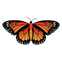 Butterfly vector illustration clipart. Cute Butterfly isolated.